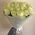 25 white roses in a bouquet 7