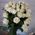 Bouquet of 29 white roses 2