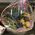 Huge basket of fruit 5