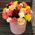 Roses in a Hat Box 6