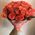 25 peach roses 7