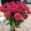 Bouquet of 31 red roses 1