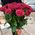 Bouquet of 31 red roses 2