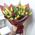 55 multicolored tulips 1