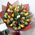 55 multicolored tulips 2