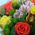 Bouquet of roses and orchids 1