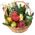 Christmas Champagne Basket