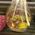 Huge basket of fruit 10