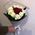 Multicolored roses 3