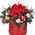 Christmas composition with amaryllis
