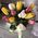 Тюльпаны в коробке 2
