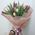 15 tulips 3