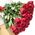 45 imported roses 1