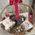 Ferrero Rocher and Raffaello gift basket 1