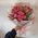 15 bush roses 3