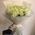 25 white roses in a bouquet - 9