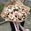 Bouquet of 51 bush roses 2