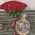 101 red rose 80 cm 7