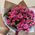 15 bush roses 7