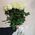 25 white roses in a bouquet 11
