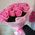 25 pink roses 1