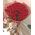 51 roses, teddy bear, fruit, sweets 1