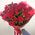 Bouquet of 31 red roses 7