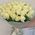 39 roses 1