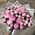 Bouquet of 51 peonies 2