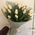 Delicate bouquet of tulips 3