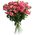 15 cluster roses