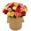 Roses in a Hat Box
