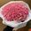 45 pink roses 2