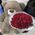 55 red roses 3