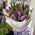 Delicate bouquet of tulips 4