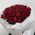 Bouquet of 31 red roses 8