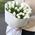 35 white tulips 2