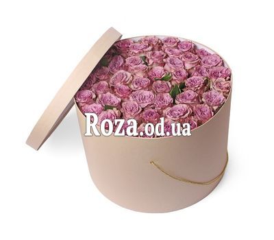 41 роза Мемори лейн к коробке