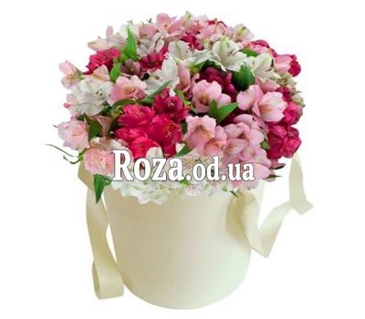 Alstroemeria in the box