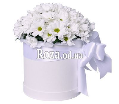Хризантемы в коробке