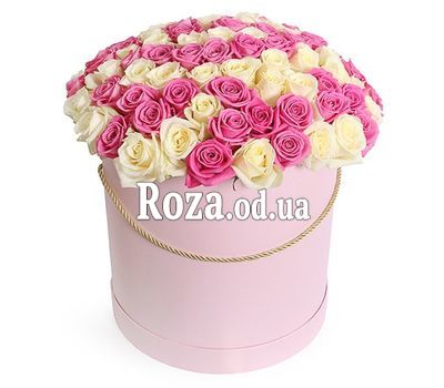 101 white and pink roses in a box