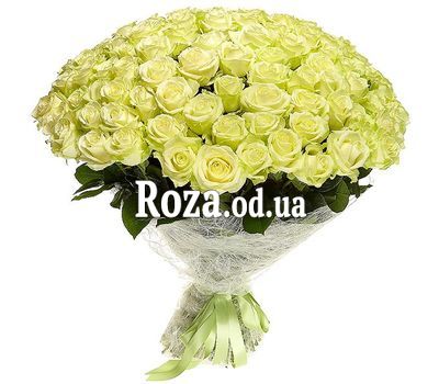 101 роза Одесса