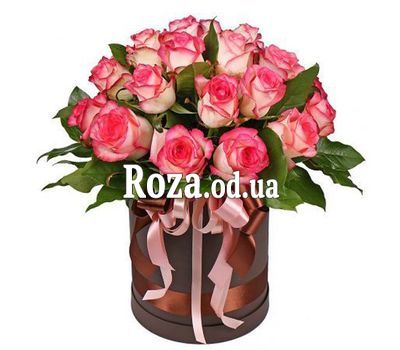 Роза Джамиля в коробке