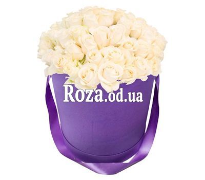 Lilac tenderness
