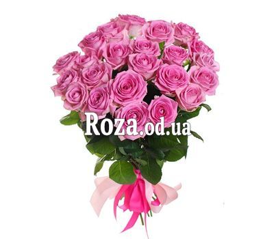 25 pink roses