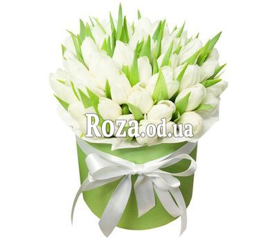 Ангельские крылья