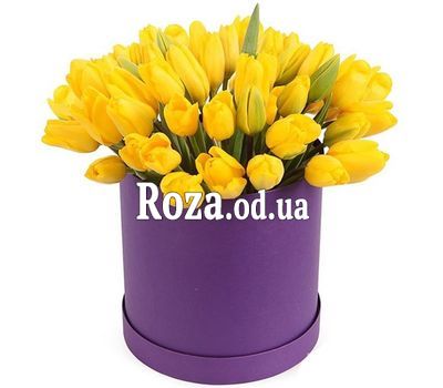 Яркое настроение