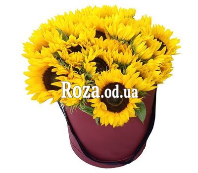 21 sunflowers in a box