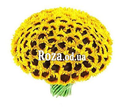 Large bouquet of sunflowers