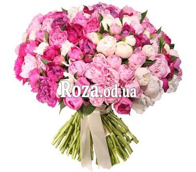 101 пион